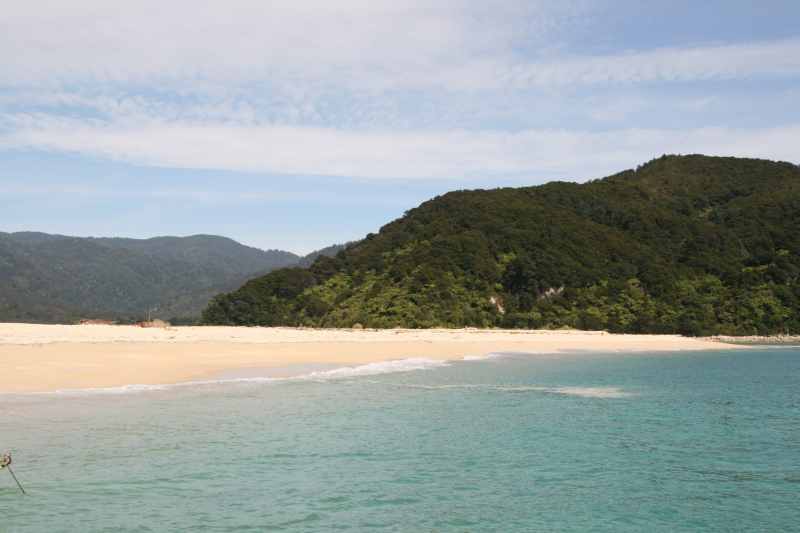 Nieuw-Zeeland 2011 - 1005